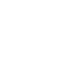 Initiatief van Vista College